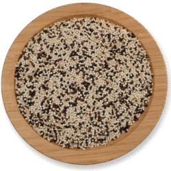 Quinoa tricolored seeds dried