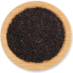 Quinoa black