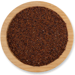 Quinoa red