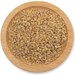 Wheat hulled