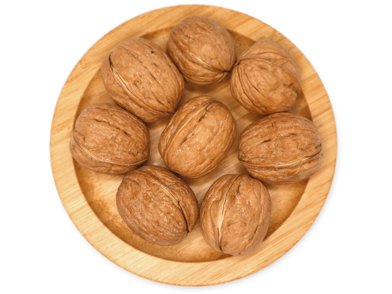 WALNUT IN SHELL   JUMBO LARGE