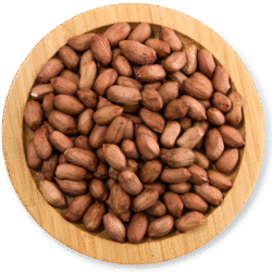 GROUNDNUT PEANUTS KERNELS 28/32