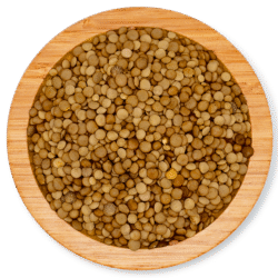 Lentils green Laird No1