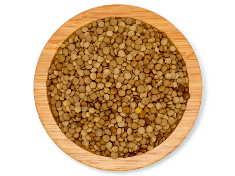 LENTILS NON LARGE