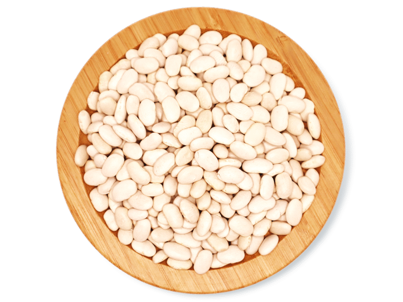 TURKISH WHITE BEANS
