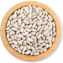 BEANS XOROZI