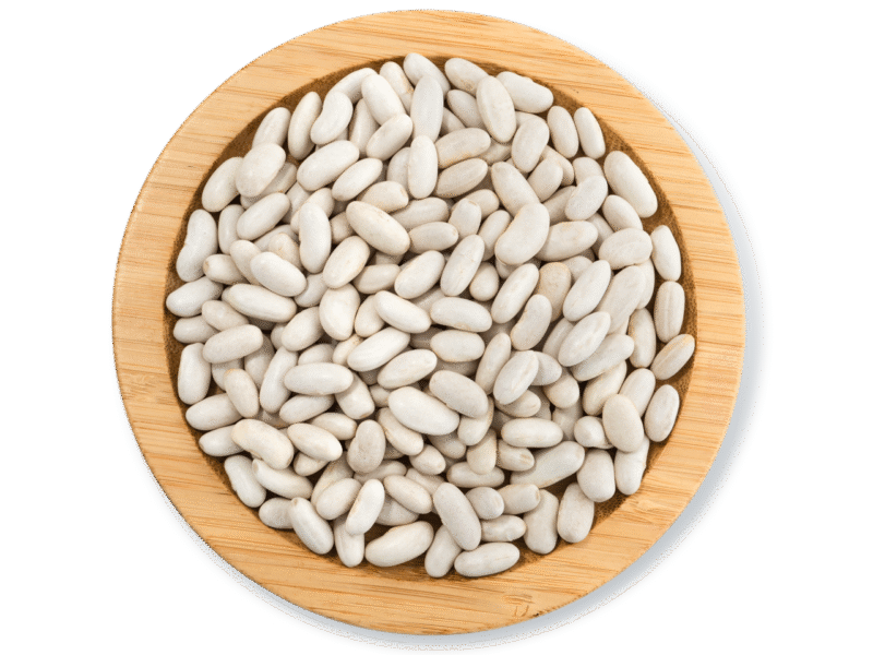 BEANS XOROZI