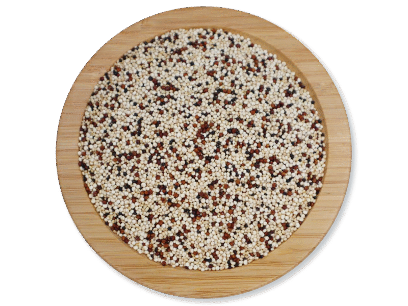 QUINOA TRICOLORED SEEDS DRIED