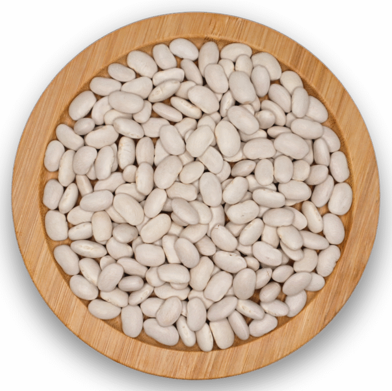GREAT NORTHERN BEANS