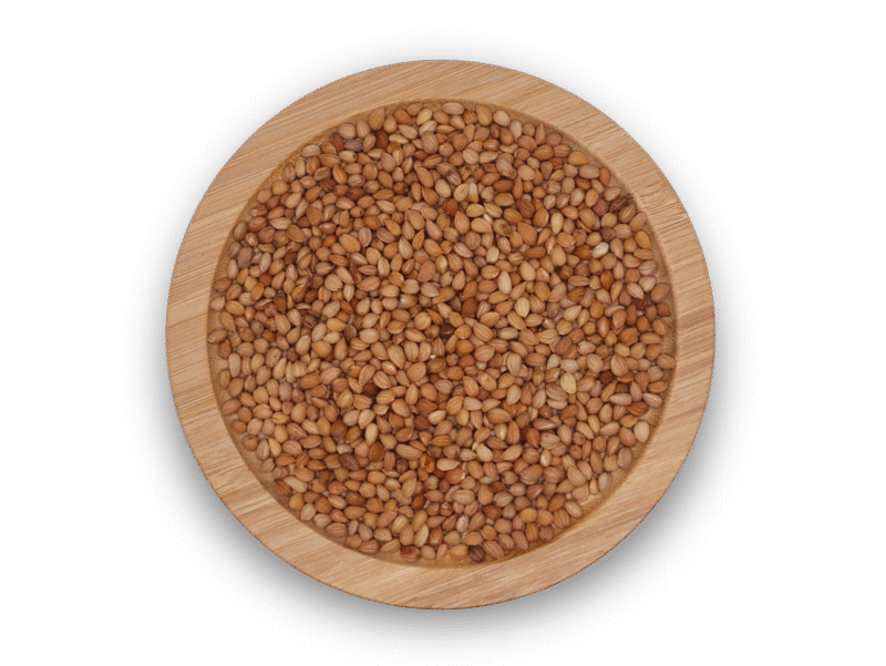 MAHLEP WHOLE