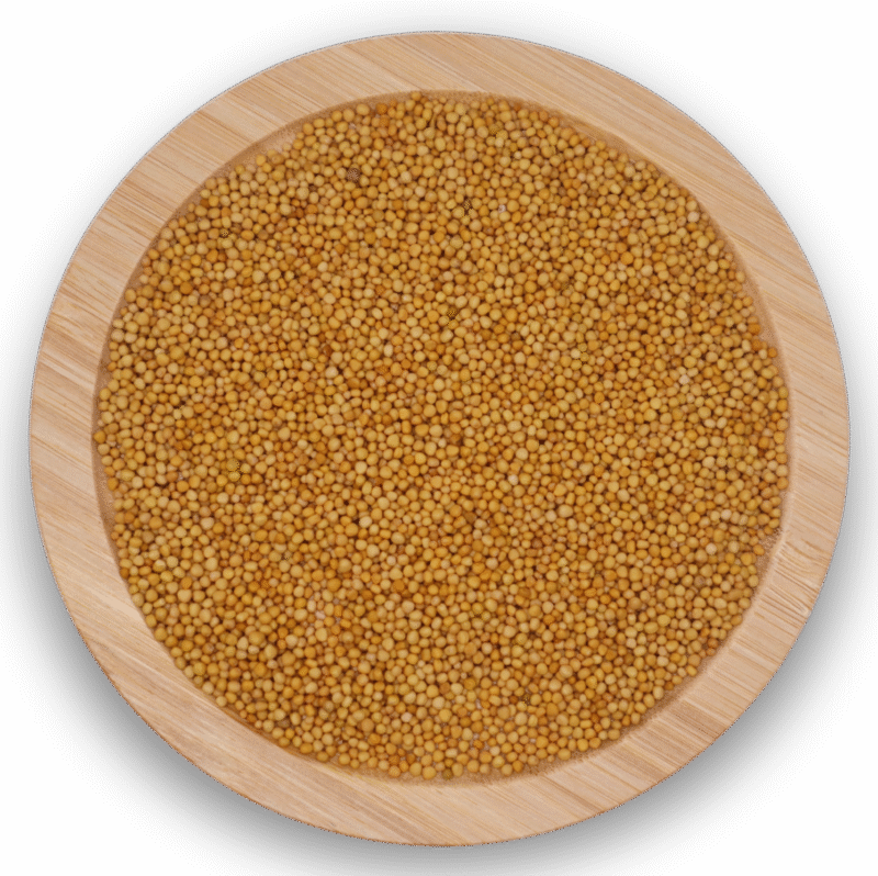 YELLOW MUSTARD SEEDS