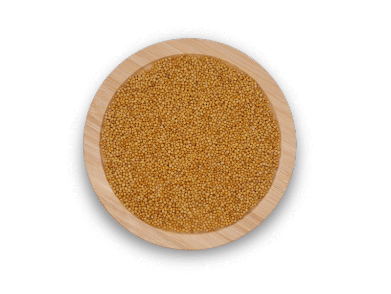 YELLOW MUSTARD SEEDS