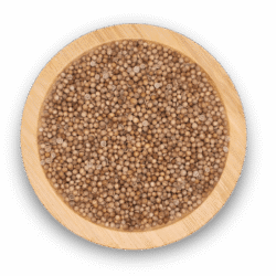 CORIANDER