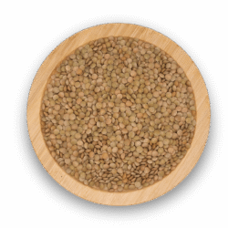LENTILS