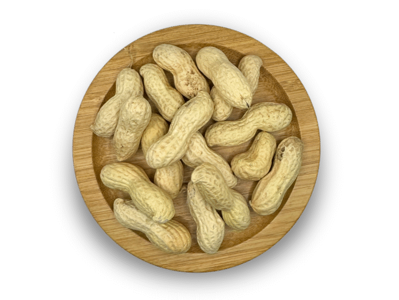 GROUNDNUT PEANUT INSHELL RAW  8/10
